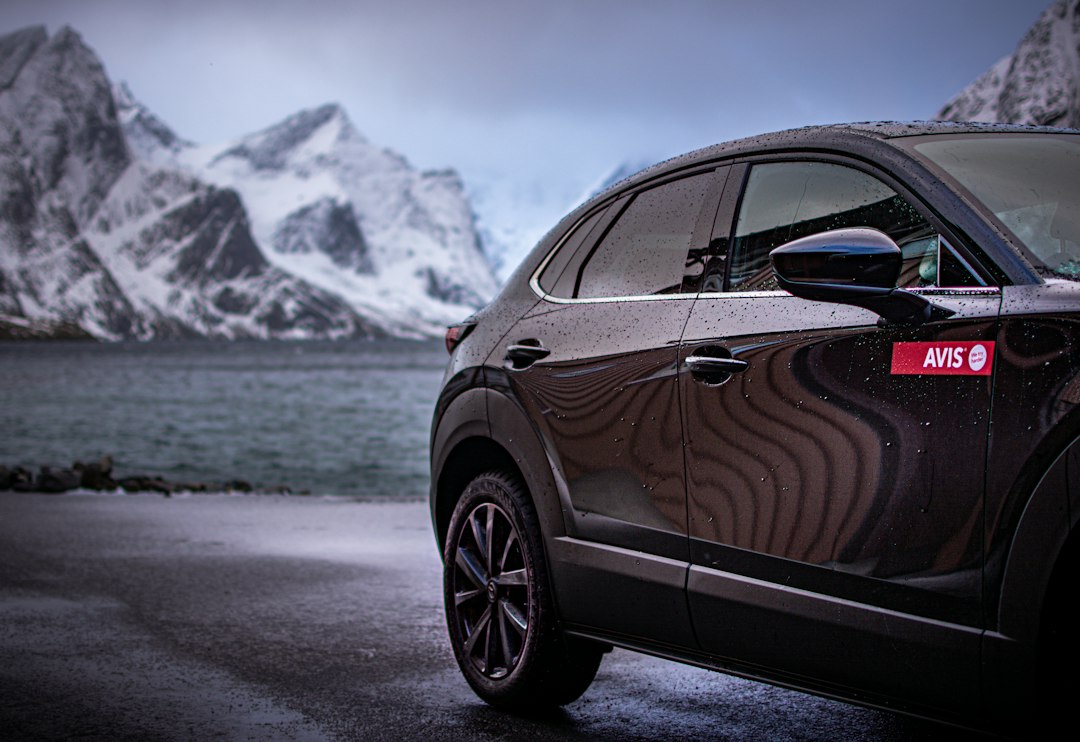 SUV elettrico compatto europeo